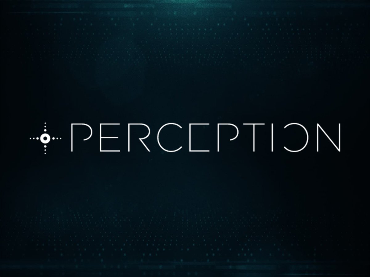 perception-image